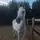 Sophiaeq🦄