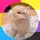 Y0ki_The_Bunny!