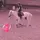 kht_hh_horse ♡