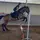 Jula_and_horse