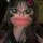 isay