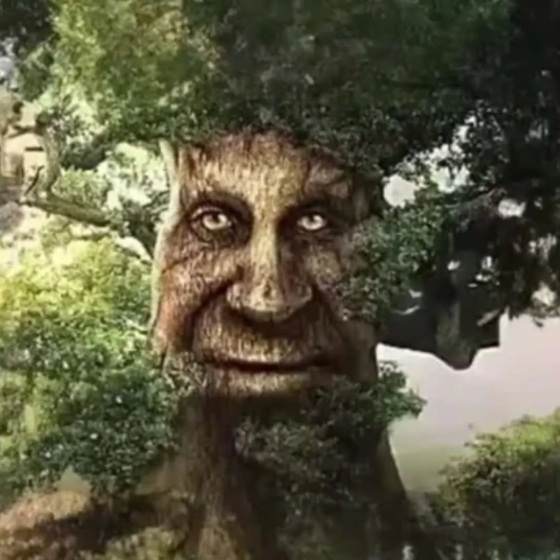 𝓔𝓰𝓸