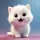 Babe_Official