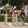 Agathe jump