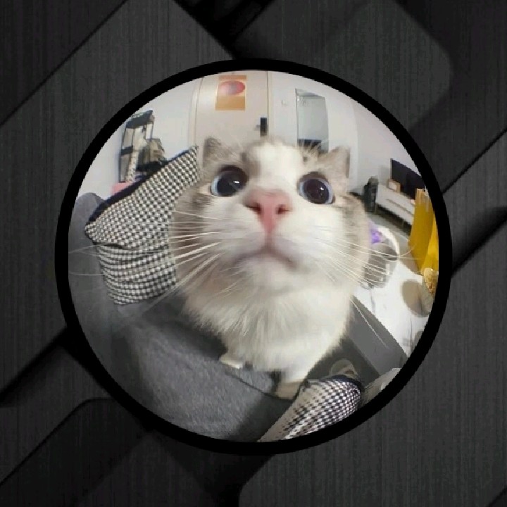 The_BOsS