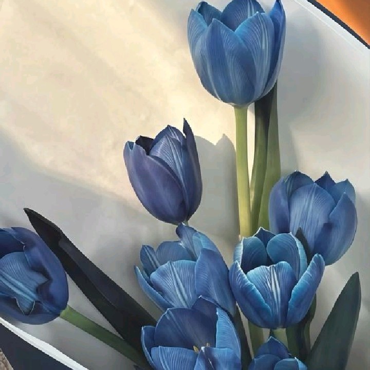 𝐥𝐨𝐯𝐥𝐞𝐞𝐝𝐚𝐚୨୧
