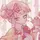 Toga_Girl