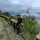 Bagus