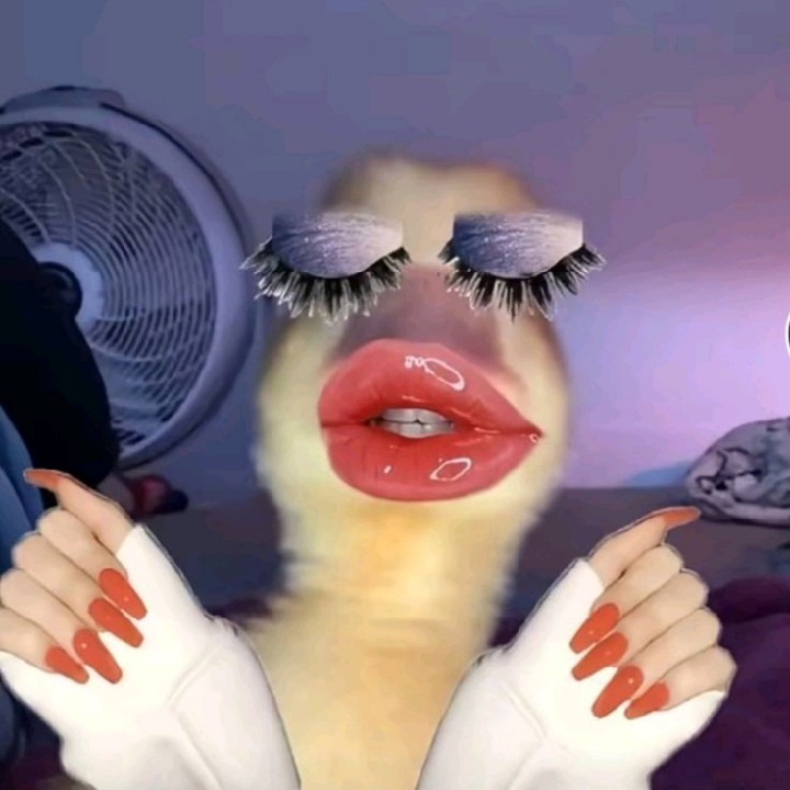 si centil 🫦