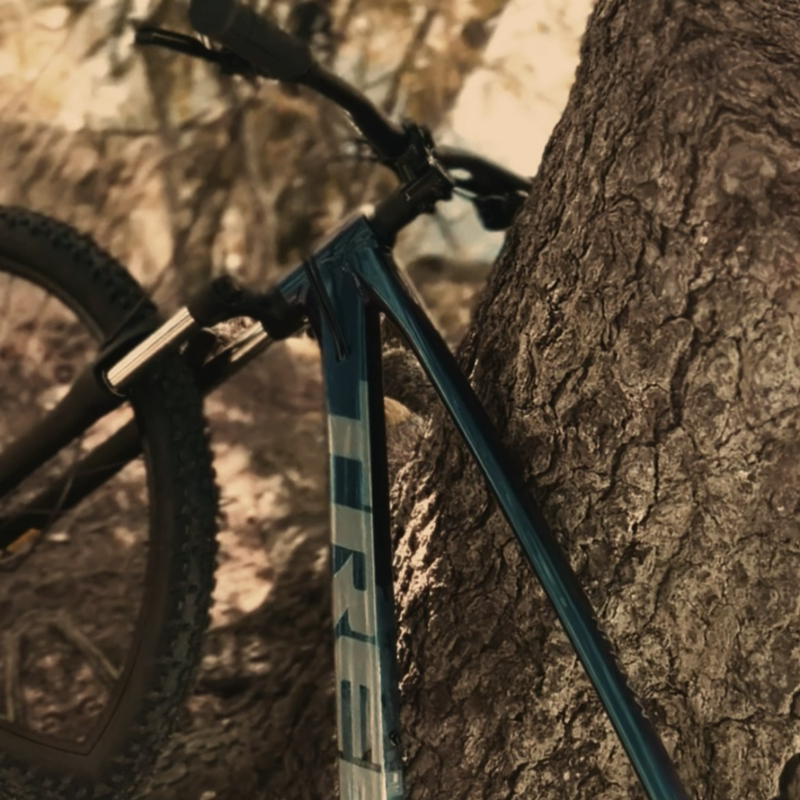 𝒩𝑒𝒷𝓊𝓁𝒶