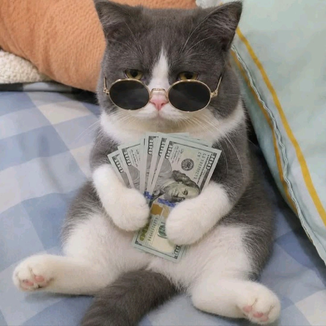 Nenxy