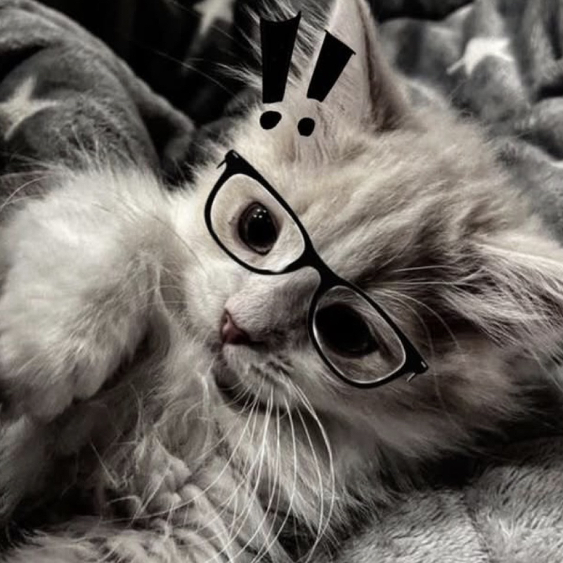 ꒰১ 愛.𝒮ℯ𝓁𝒾𝓃𝒶𝒶𝒶.🐾 (