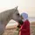 Sadeanlar