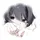 ₊˚✧𝑺uzu .ᐟ ֹ ₊ ꒱
