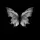 farfalla 