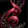 Black Rose