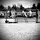 Amelia showjumping