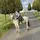 Chaly_eq🎠🐎❣️💕