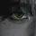 『hurm★»