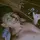 ney_leidison_100mil