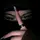 KadaLens [KL]