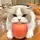 Cinebbyy [AR]