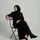 dhestory 