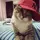 Abby
