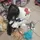 Ninixy_2 