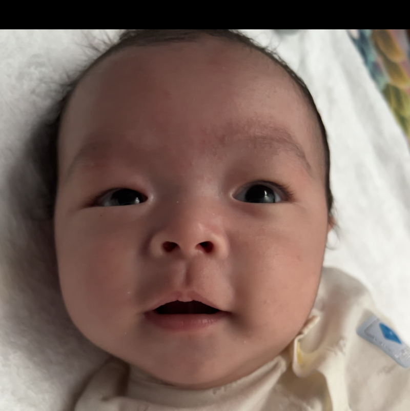Long khanh