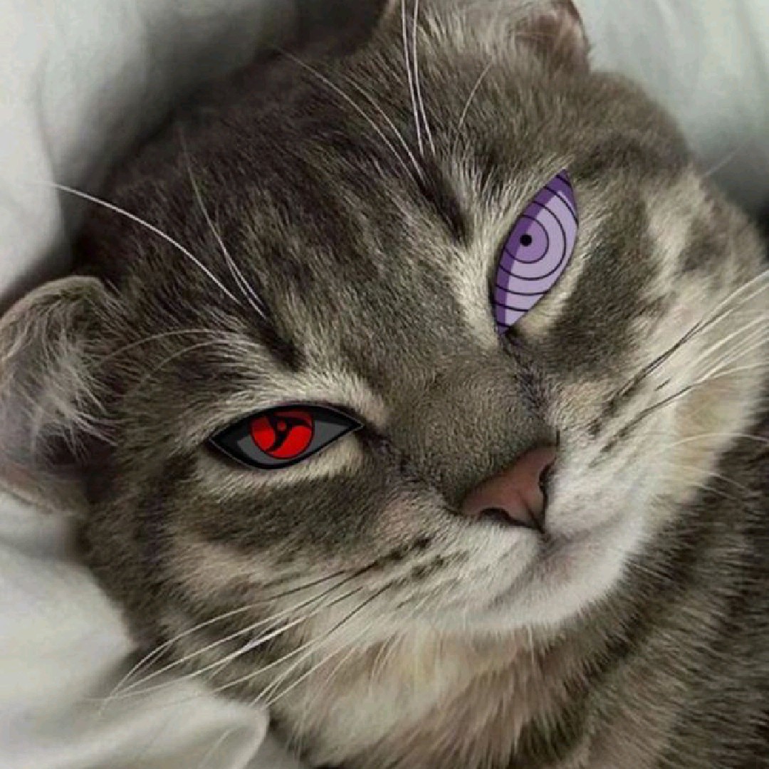 dōjutsu [AR]