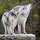 mystic wolf