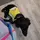 ServiceDogBruce