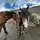 emt.eventing