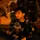 ｓｙａｆｉｑ [𝗠𝗥]