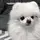 jiminjimin 