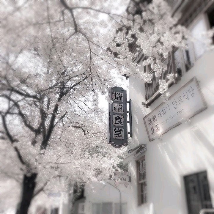 ꨄ~𝙉𝘼𝙉𝘿𝙊~ꨄ