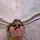 huyen;