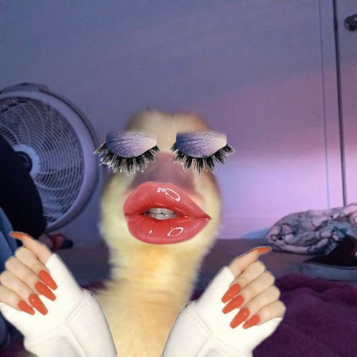 femm0ra
