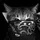 anf_id