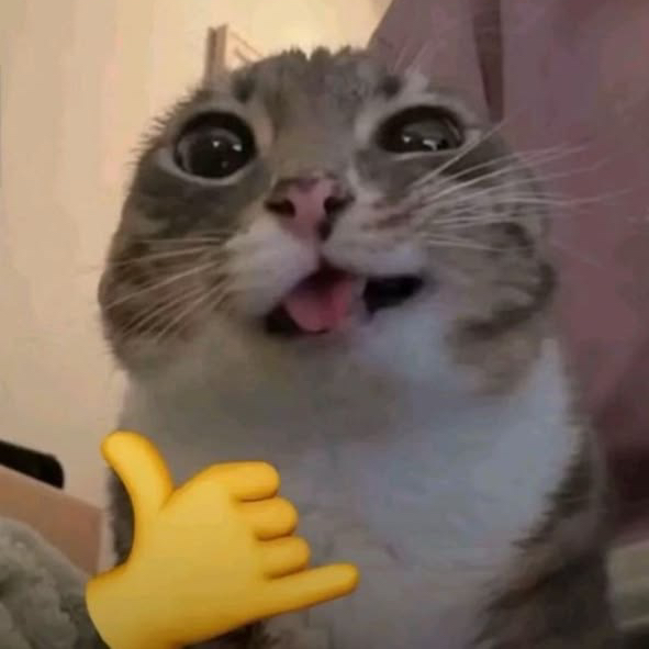 Rizzz_mediaclips[AR]