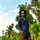 dada amirul