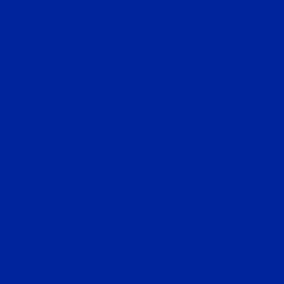 bluzz