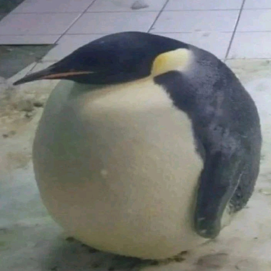 Moji