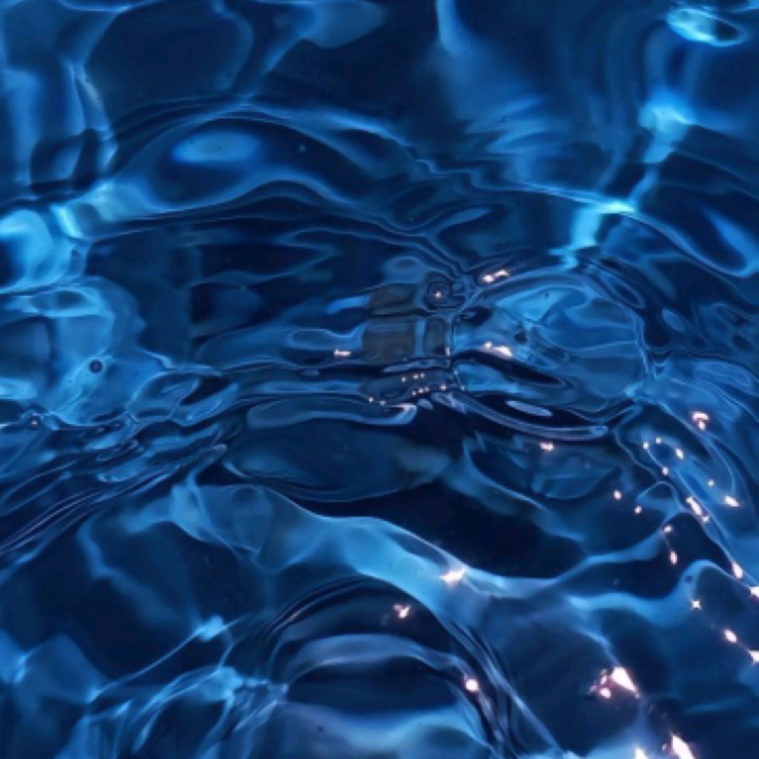 bluzz