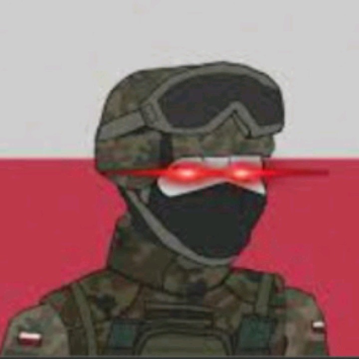 𝕸𝖎𝖑𝖎𝖙𝖆𝖗𝖞🇵🇱