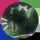 *{Dino_bisexual}*