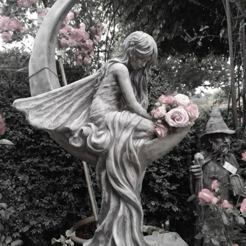 𝓢𝓸𝓻𝓪𝓪 