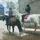 𝐉.𝐄_𝐞𝐪🐴ྀིྀིྀིྀིྀི 