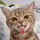 Emy_cut